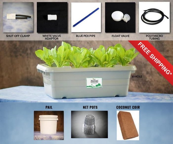 Food Rising Mini-Farm Grow Box 2.0 (Kitchen Herbs Starter Kit with 6-hole Lid) (Ship within 2-6 business days)